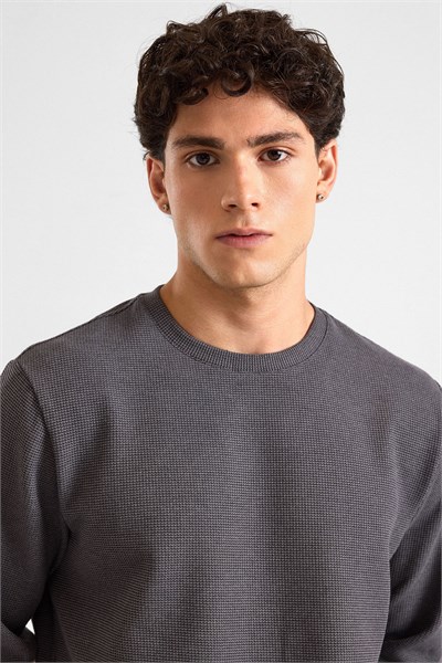 Gri Regular Düz Bisiklet Yaka Sweatshirt