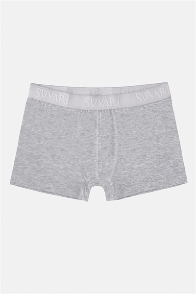 Gri Regular Düz Boxer