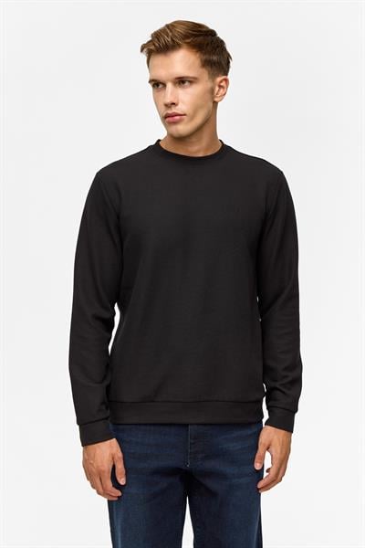 Siyah Regular Düz Bisiklet Yaka Sweatshirt