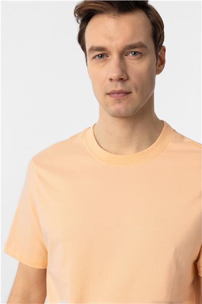 Sütlü Kahve Regular Düz Bisiklet Yaka Tişört