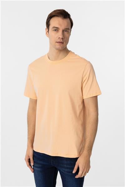 Sütlü Kahve Regular Düz Bisiklet Yaka Tişört