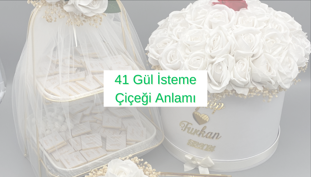 41 Gül İsteme Çiçeği Anlamı - Gift Home Shop