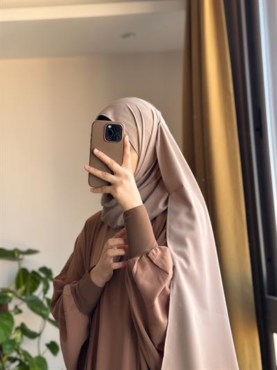 Yarasa Kol Elbise/Ferce - Vizon