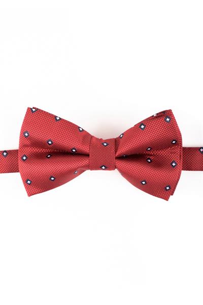 013 Desenli Klasik Papyon EFR06 - X