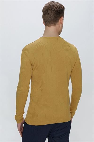 TR 853 Slim Fit Hardal Klasik Triko