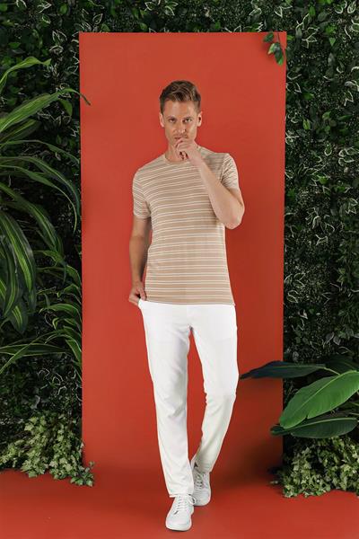 Slim Fit Bisiklet Yaka Çizgili Pamuklu Bej Tişört TS 851