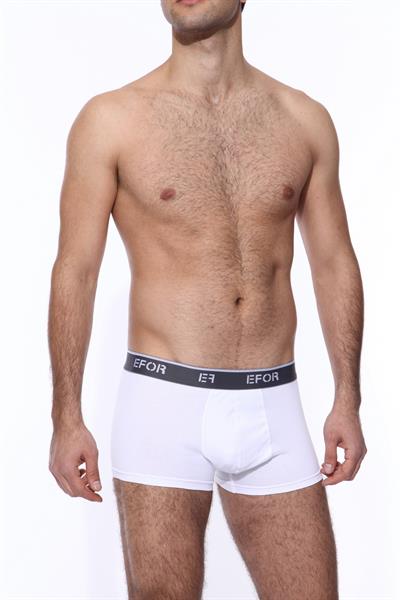 BX 01 BOXER