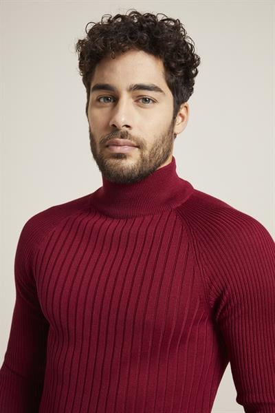 TR 833 Bordo Balıkçı Triko