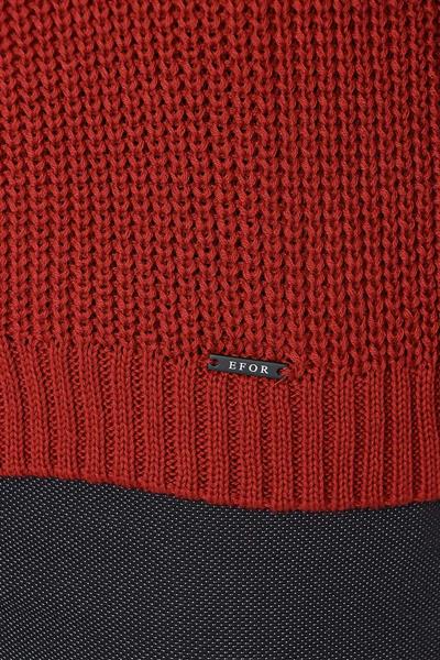 TR 850 Slim Fit Bordo Klasik Triko