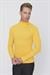 TR 848 Slim Fit Sarı Klasik Triko