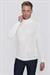 TR 850 Slim Fit Ekru Klasik Triko
