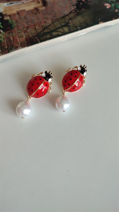 MARKA MODEL UĞUR BÖCEĞİ KÜPE 