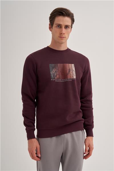 CAZ 5131 3 İPLİK SWEAT