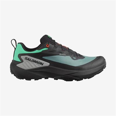 Salomon Genesis Gore-Tex Erkek Koşu Ayakkabısı