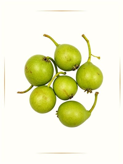 Armut 500 g