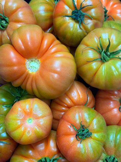 Boğumlu Köy Domatesi 600 Gr