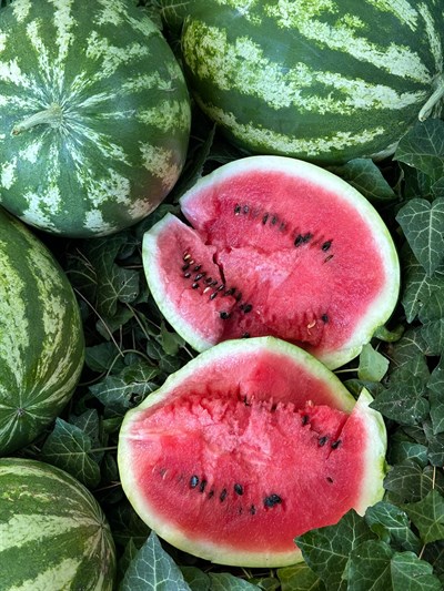 Çizgili karpuz 5-6 kg