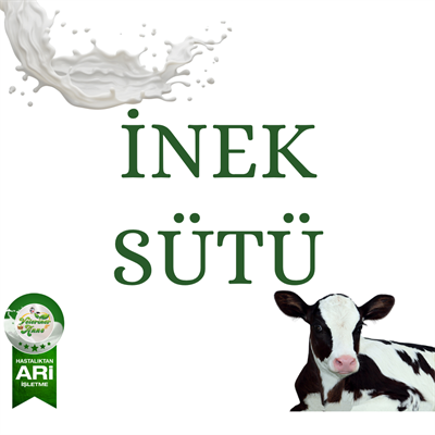 İnek Sütü