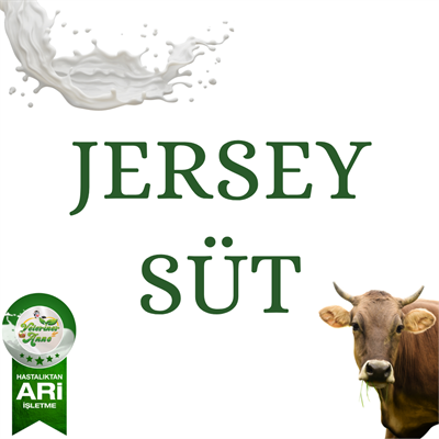 Jersey İnek Sütü 3 litre