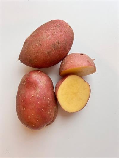Kırmızı Patates 500 gr 