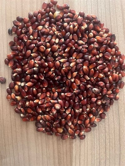 Kırmızı Patlatmalık Mısır 250 g