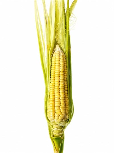 Mısır - 1 Adet  1Adet