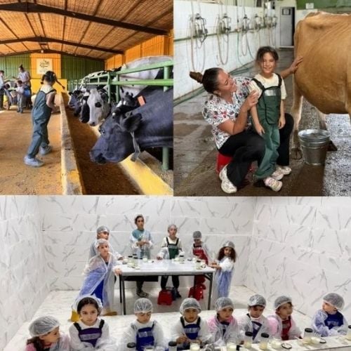 Minik Çiftçiler Atölye Detayları