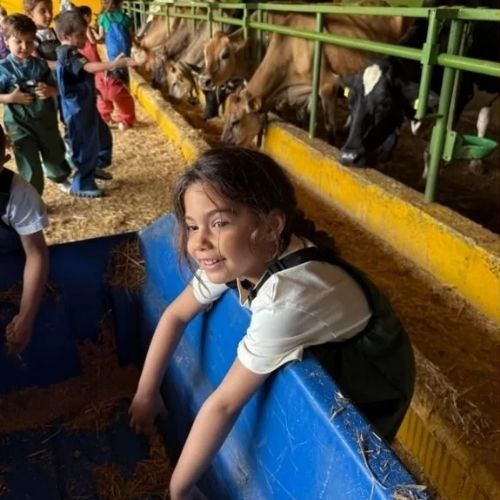 Atölye Bilgilendirme