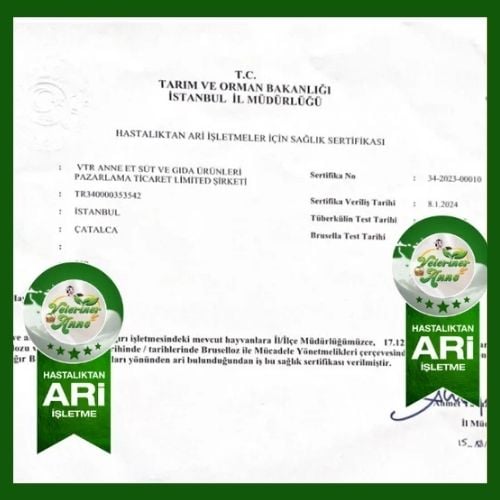 Hastalıktan Ari Sertifikası