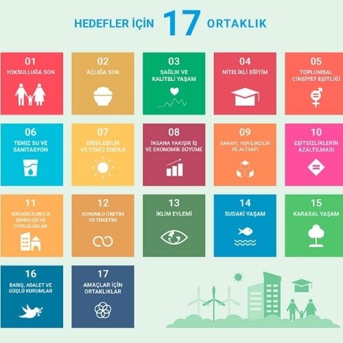 Birleşmiş Milletler Kalkınma Hedefleri