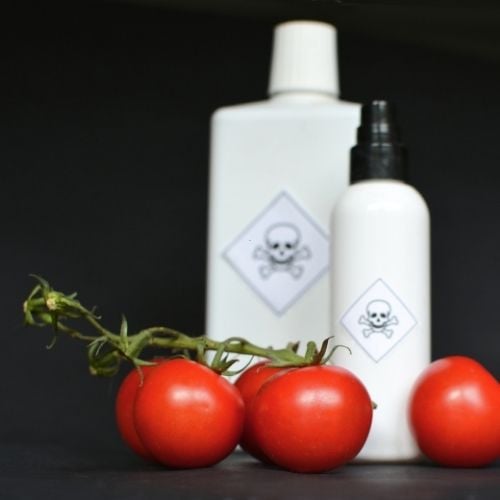 Aromaterapi ile Tarım