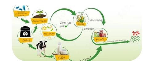 Faydalı Böcekler ile Mücadele