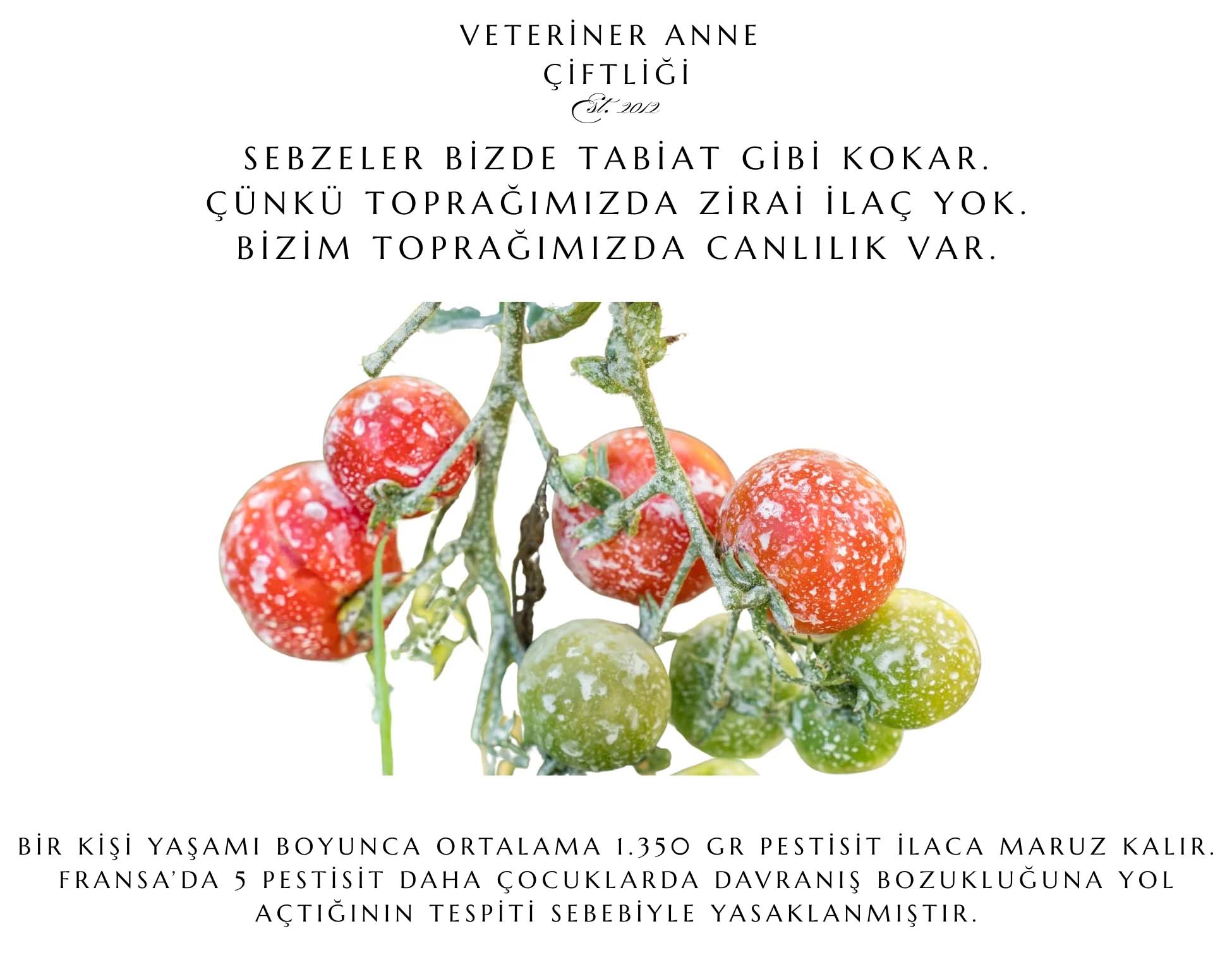 Farklılıklarımız