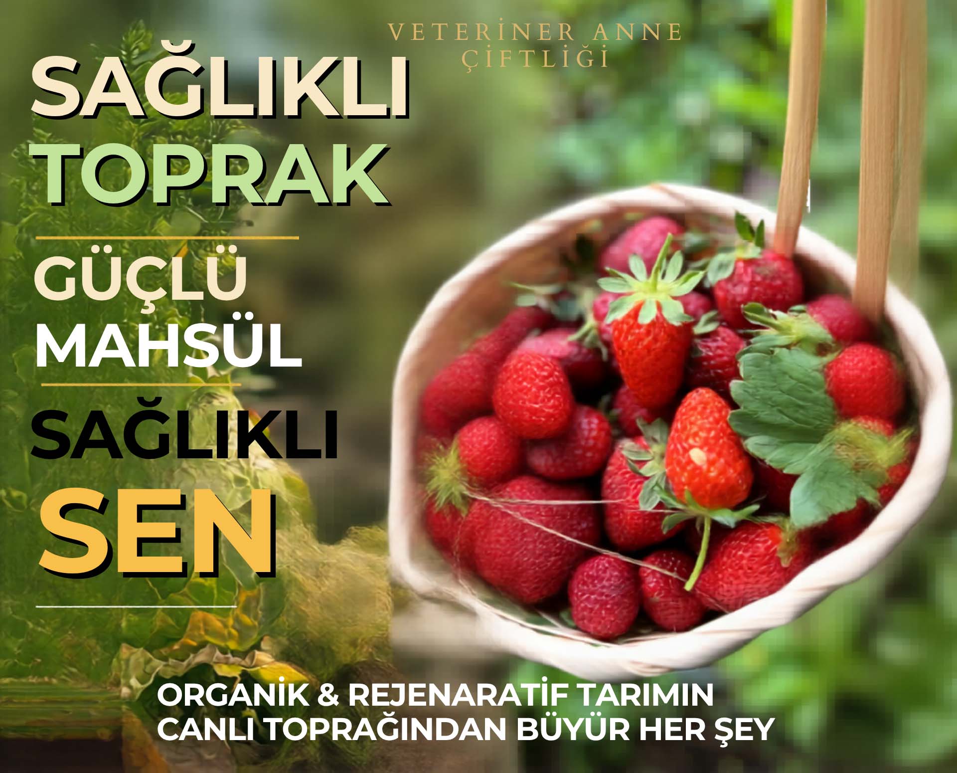 Sağlıklı sebze ve meyveler