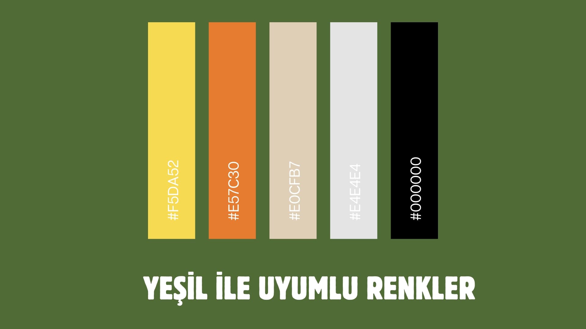 yeşil ile uyumlu renkler kıyafet