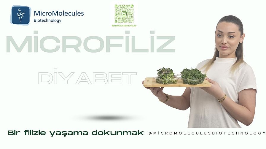 Mikrofiliz-Diyabet