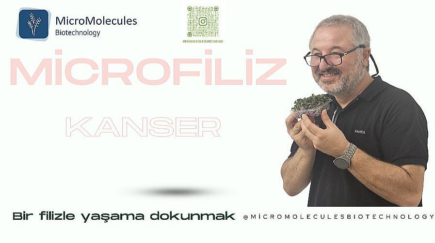 Mikrofiliz-Kanser