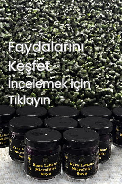 Karalahana Mikrofiliz Özütü