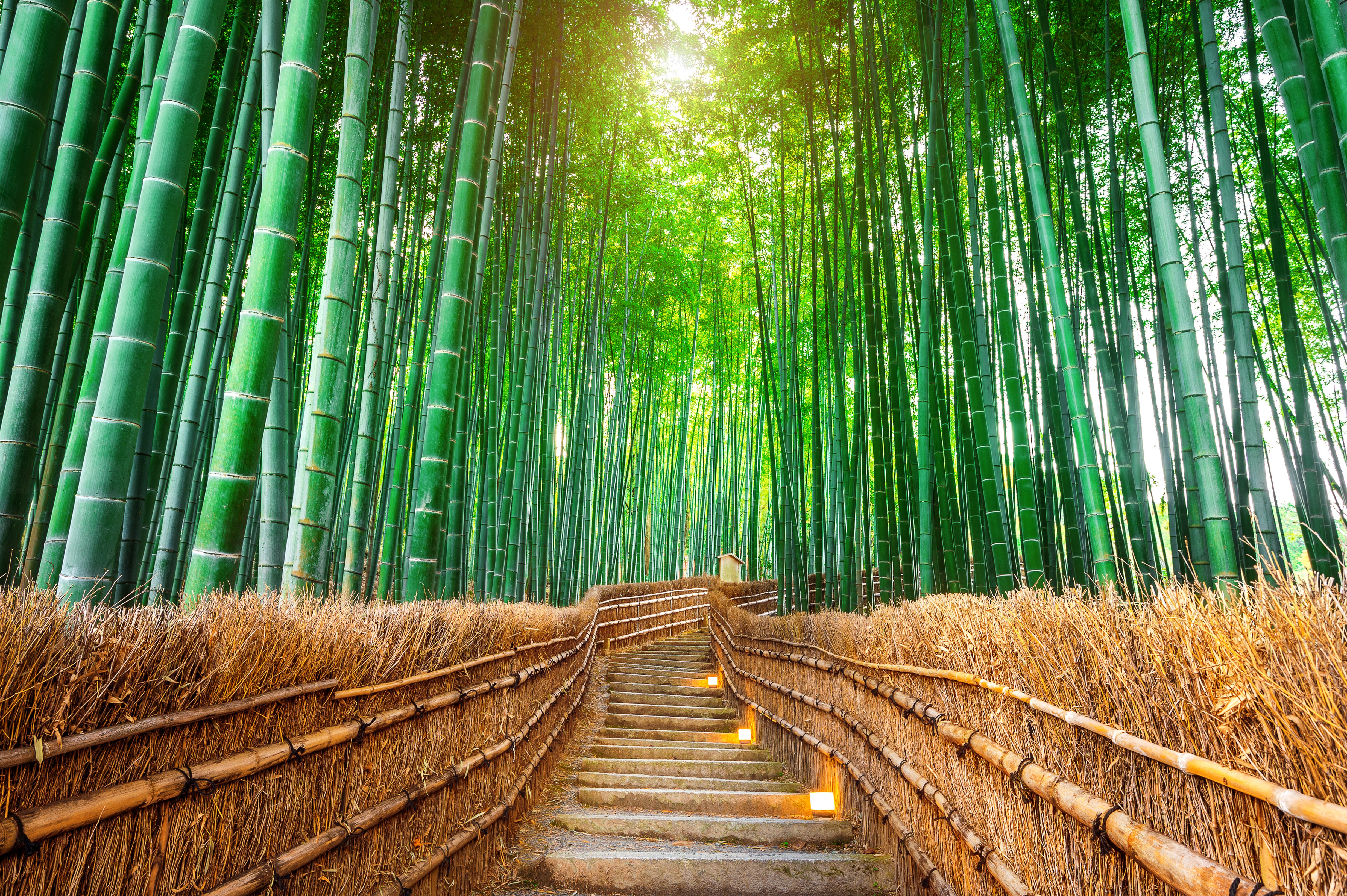 BAMBU YORGANIN FAYDALARI NELERDİR?