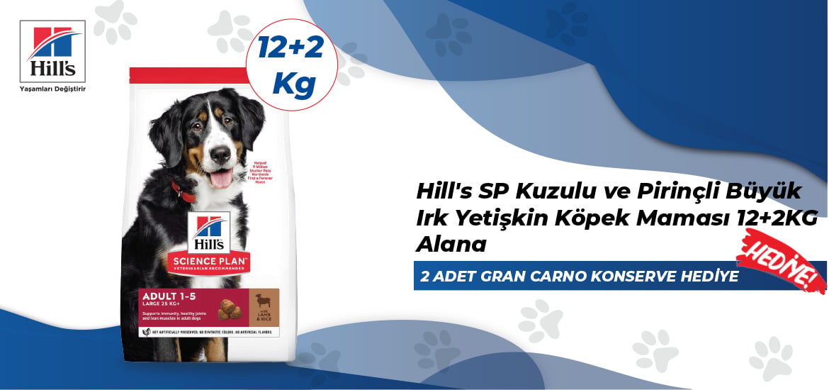 Köpek