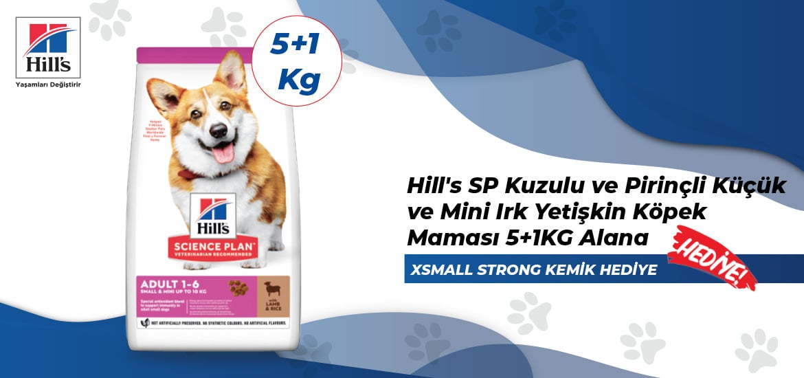Köpek