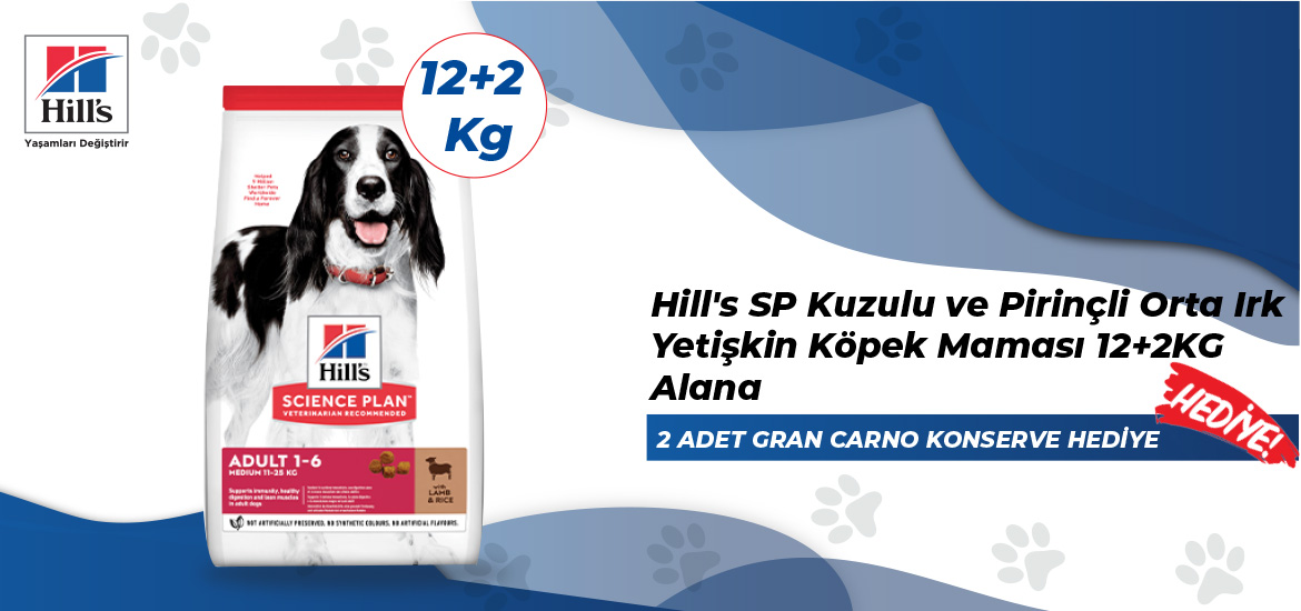 Köpek