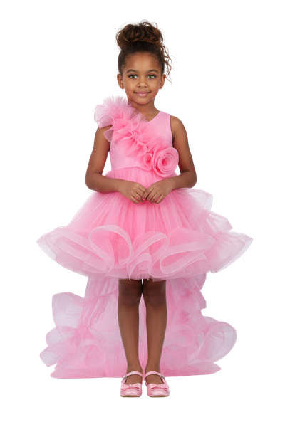 Barbie Dress Concept 14 - Barbie x Fairyland