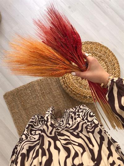 Kahverengi Zebra Poplin Elbise