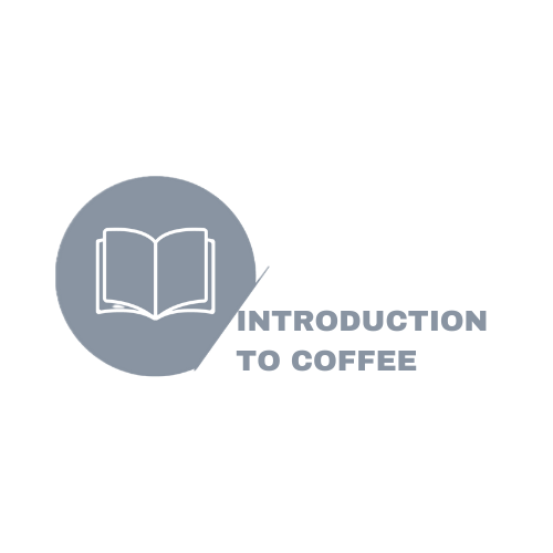 Introduction to Coffee Icon