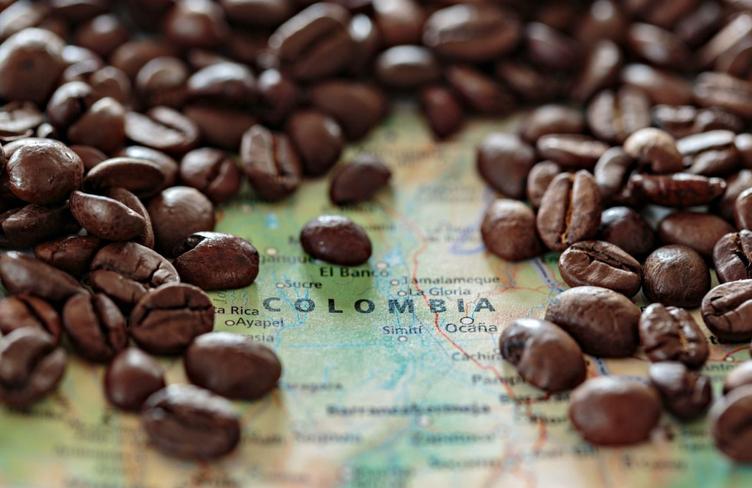 Colombia Çekirdek Kahve Özellikleri Nelerdir?