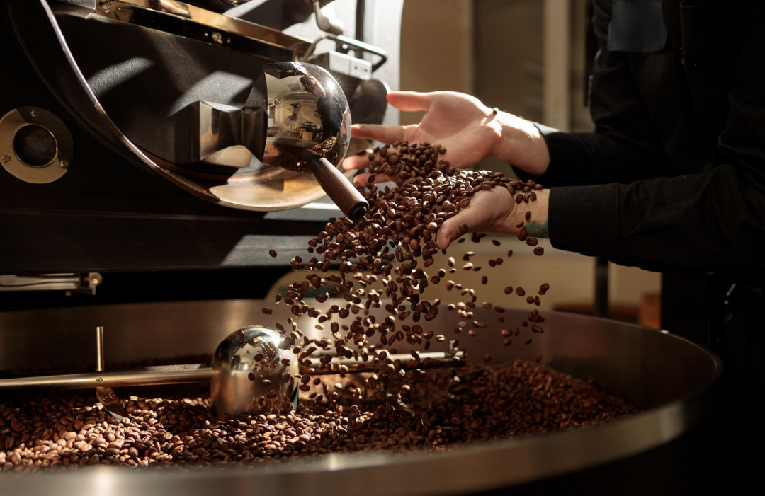 Kahve İşleme Yöntemleri: Doğal, Yıkanmış ve Honey Process (Bal) Teknikleri