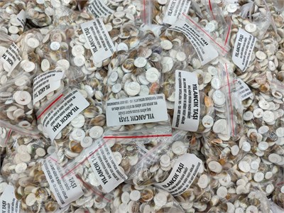 Yılancık Taşı 100 ila 120 adet arası paketlerde hac ve umre hediyeliği dağıtmalık 5 paket 