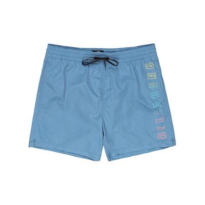 Billabong All Day Heritage Lb Deniz Şortu - EBYJV00122