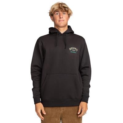 Billabong Arch Dreamy Place Po Erkek Sweatshirt - EBYSF00128